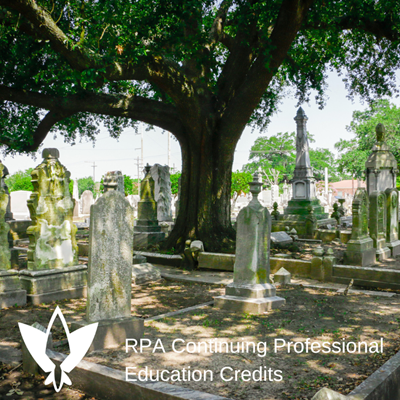 Cemetery Site Protections and Cultural Resource Management:  A View from Louisiana and Implications for the Rest of the United States [Deeper Digs]