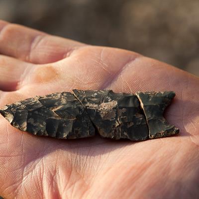 Reading Flake Scars to Understand Lithic Technologies and Past Human Behavior