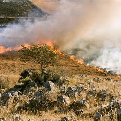 Climate Change and Cultural Resources